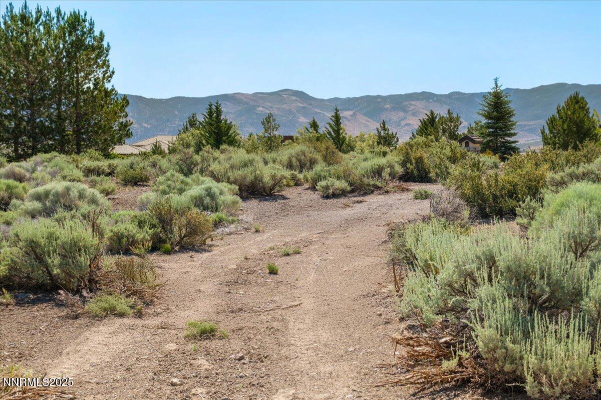 5725 Flowering Sage Trail Reno, NV 89511 - Photo 18 of 18 10-DSC_8906