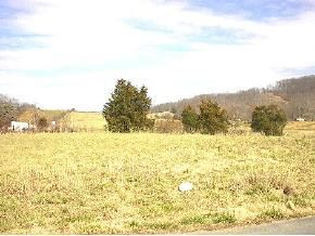 Lot 2 Timber Ridge Lane Elizabethton, TN 37643 - Photo 1 of 1 Photo 1