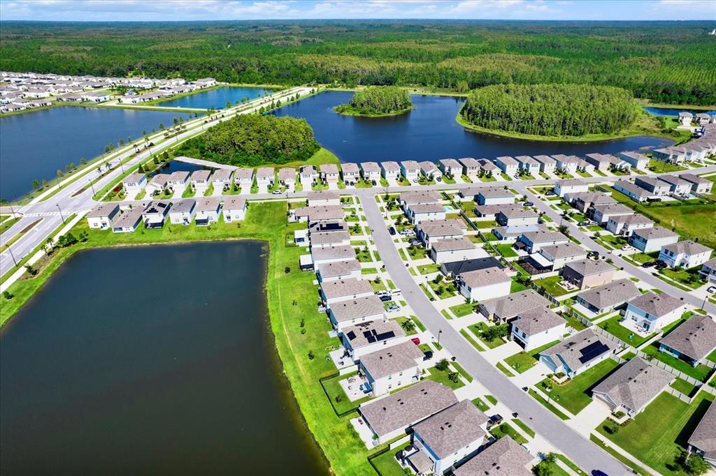 16034 Tuscany Hillside Road Odessa, FL 33556 - Photo 33 of 48 a view of an outdoor space yard patio and swimming pool