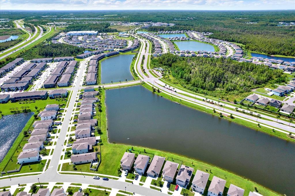 16034 Tuscany Hillside Road Odessa, FL 33556 - Photo 39 of 48