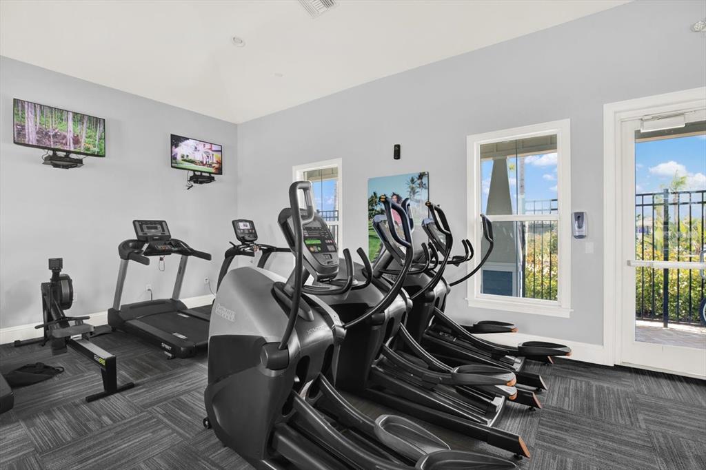 16034 Tuscany Hillside Road Odessa, FL 33556 - Photo 46 of 48 a view of a room with gym equipment