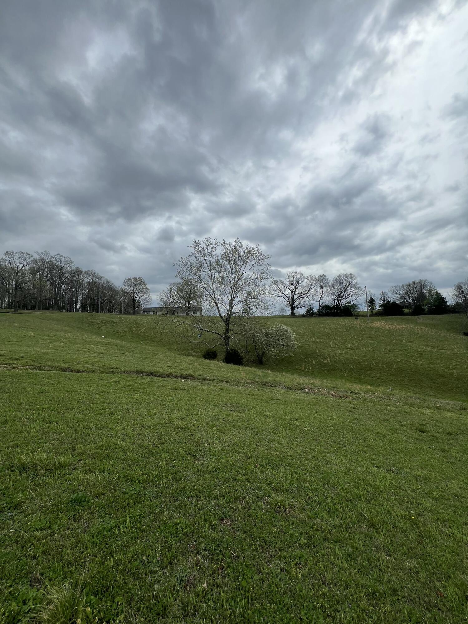 0 Th Reeds Spring Reeds Spring, MO 65737 - Photo 5 of 6 IMG_1613