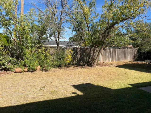 a view of a yard with plants and large trees