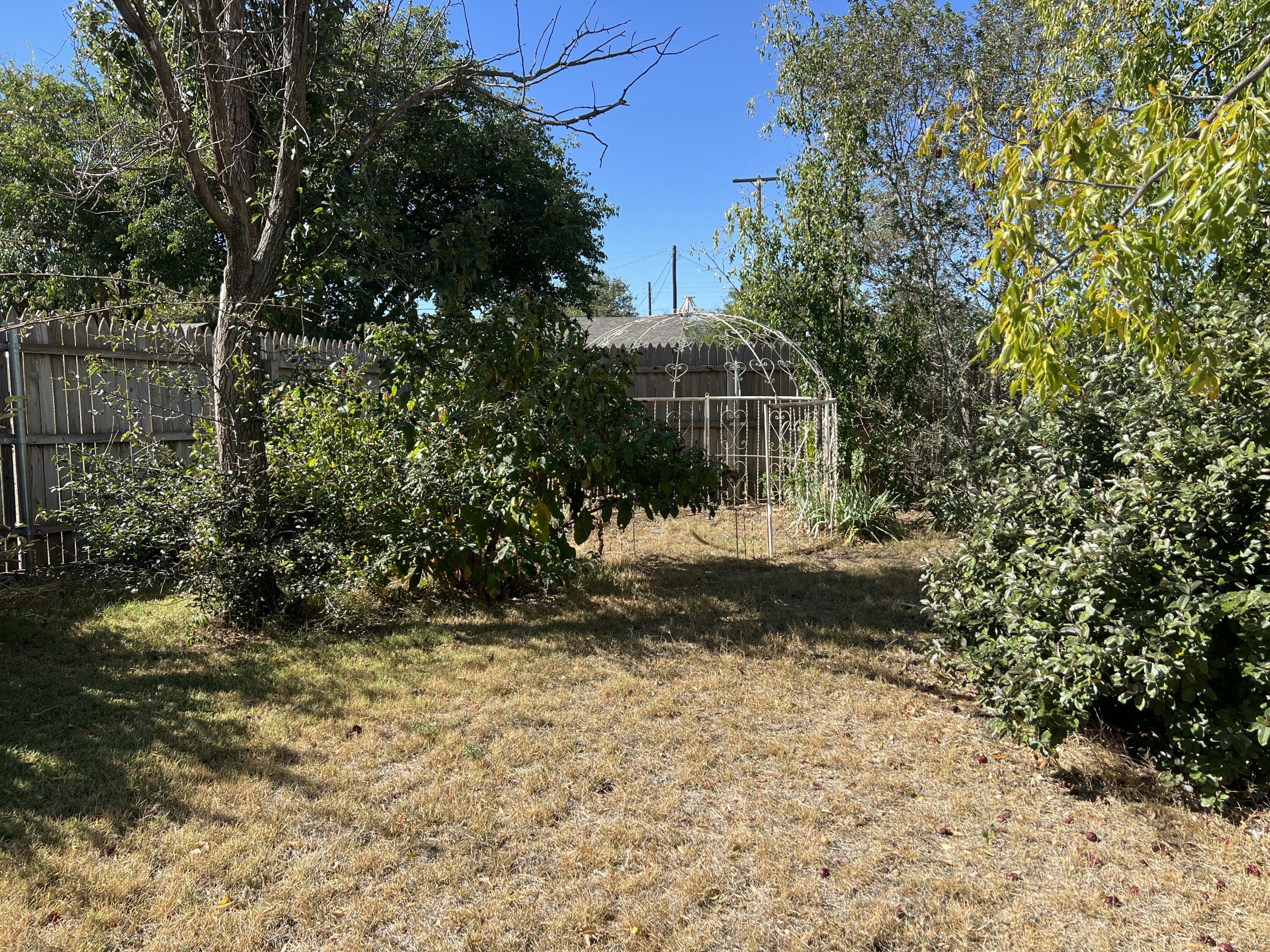 5520 36th Street Lubbock, TX 79407 - Photo 27 of 27 a view of a yard with plants and large trees