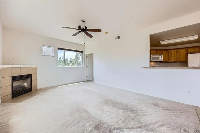 a view of empty room with windows and fireplace