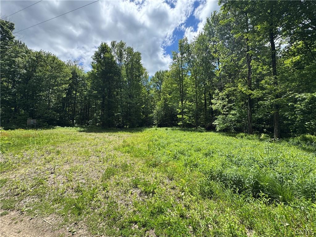 98 Wooliver Road Orwell, NY 13144 - Photo 5 of 11