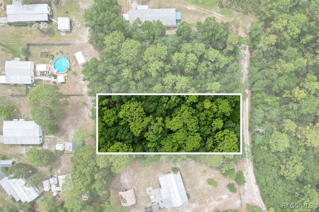 7261 West Stuart Lane Homosassa, FL 34448 - Photo 1 of 15
