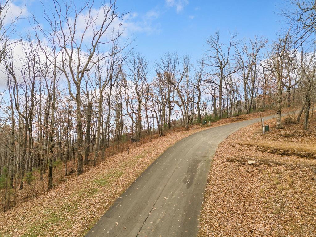 Lt273 Andes Ridge Jasper, GA 30143 - Photo 3 of 24 Gallery Image 3