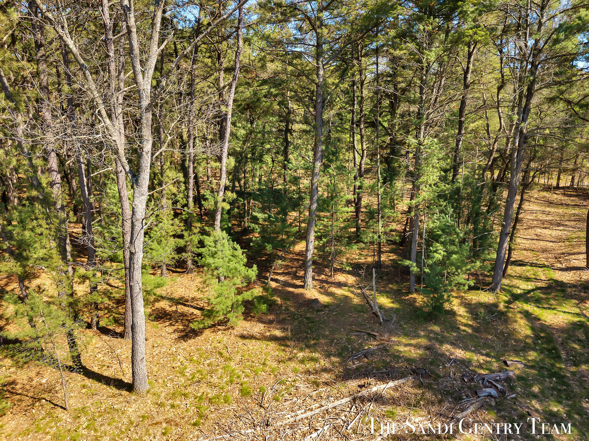Whitehall Road Whitehall, MI 49461 - Photo 5 of 13 DJI_20260514163554_0373_D_KYLE