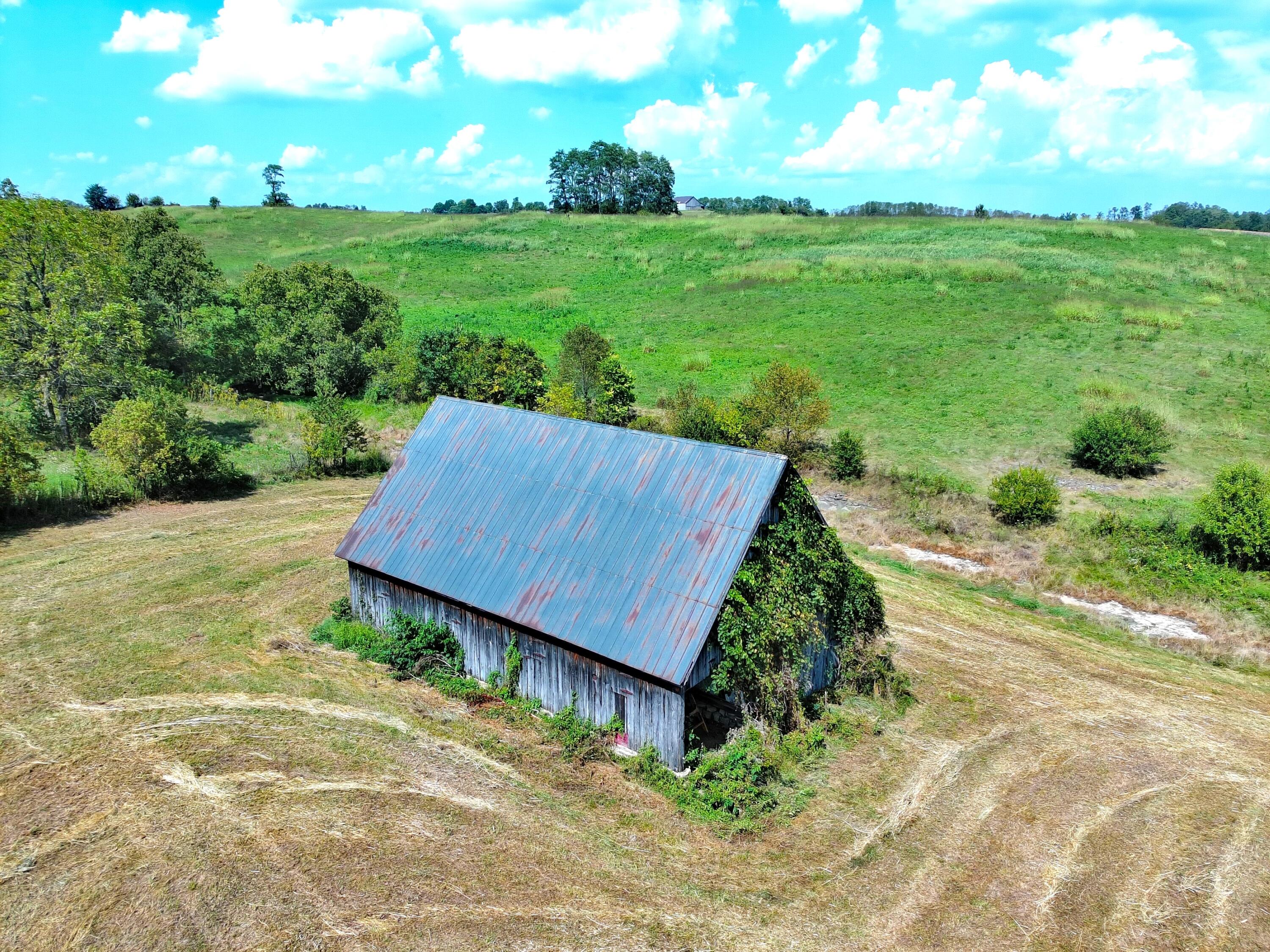 1363 Levy Road Paris, KY 40361 - Photo 15 of 35 MAX_0174