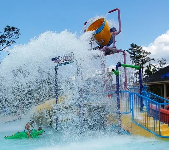a view of a house with a yard and potted plants