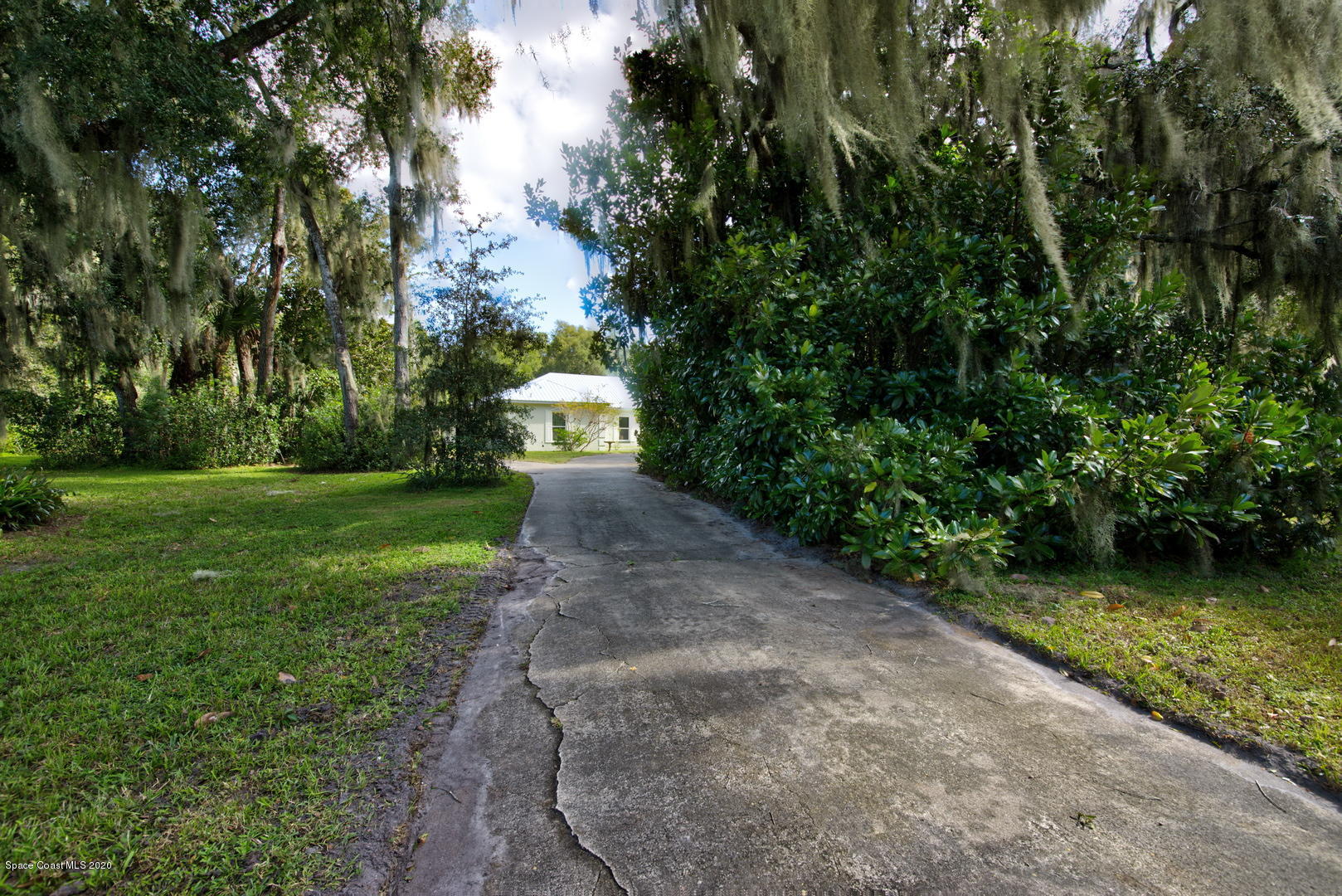 2175 Turpentine Road Mims, FL 32754 - Photo 2 of 67 Great Wooded lot