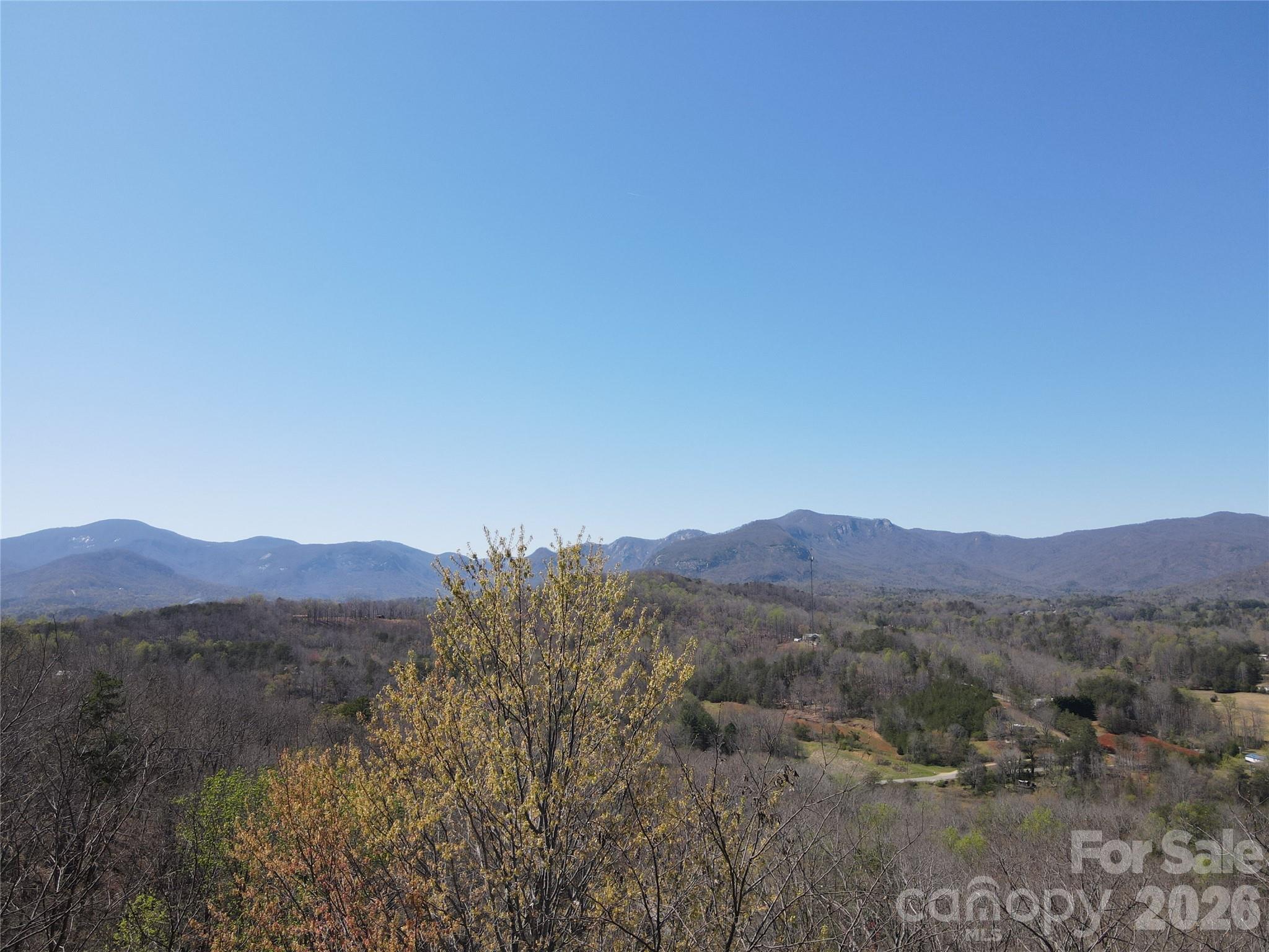 600 High Pines Loop Lake Lure, NC 28746 - Photo 1 of 38 a view of a forest with mountains in the background