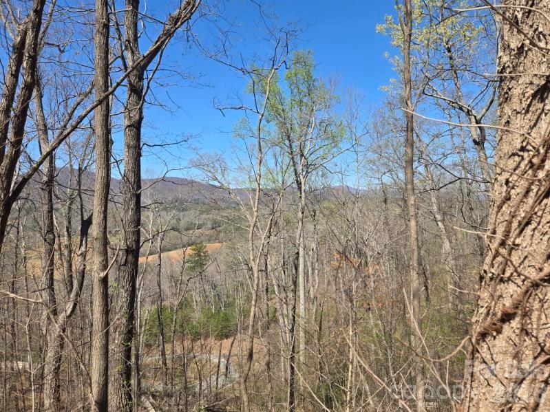 600 High Pines Loop Lake Lure, NC 28746 - Photo 16 of 38 a view of a yard