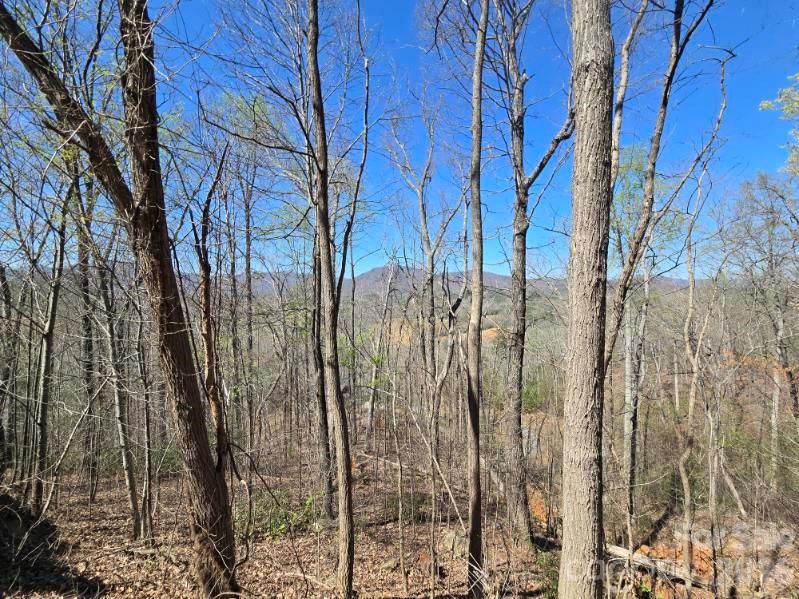 600 High Pines Loop Lake Lure, NC 28746 - Photo 17 of 38 a view of a yard