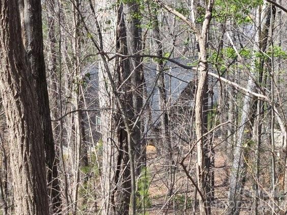 600 High Pines Loop Lake Lure, NC 28746 - Photo 20 of 38 a backyard of a house with lots of trees