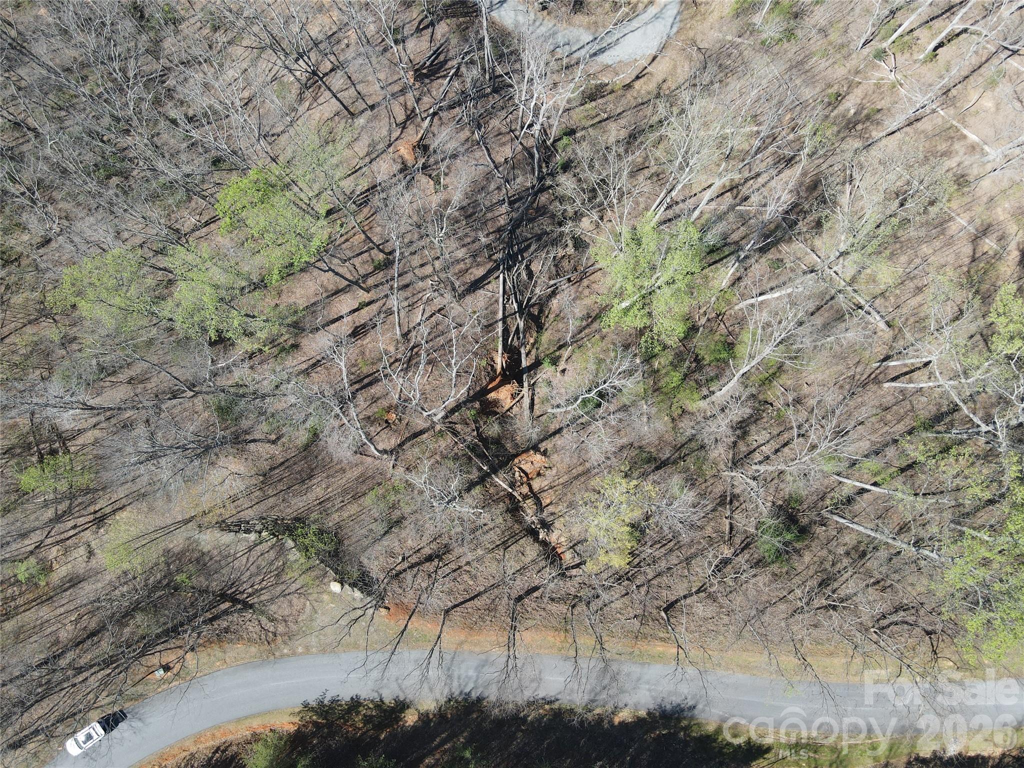 600 High Pines Loop Lake Lure, NC 28746 - Photo 26 of 38 a view of a forest with a yard