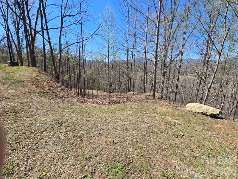 600 High Pines Loop Lake Lure, NC 28746 - Photo 27 of 38 a view of wooden fence of a house
