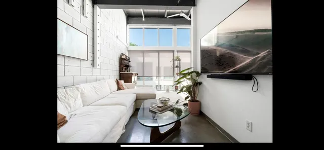 a living room with furniture and a potted plant