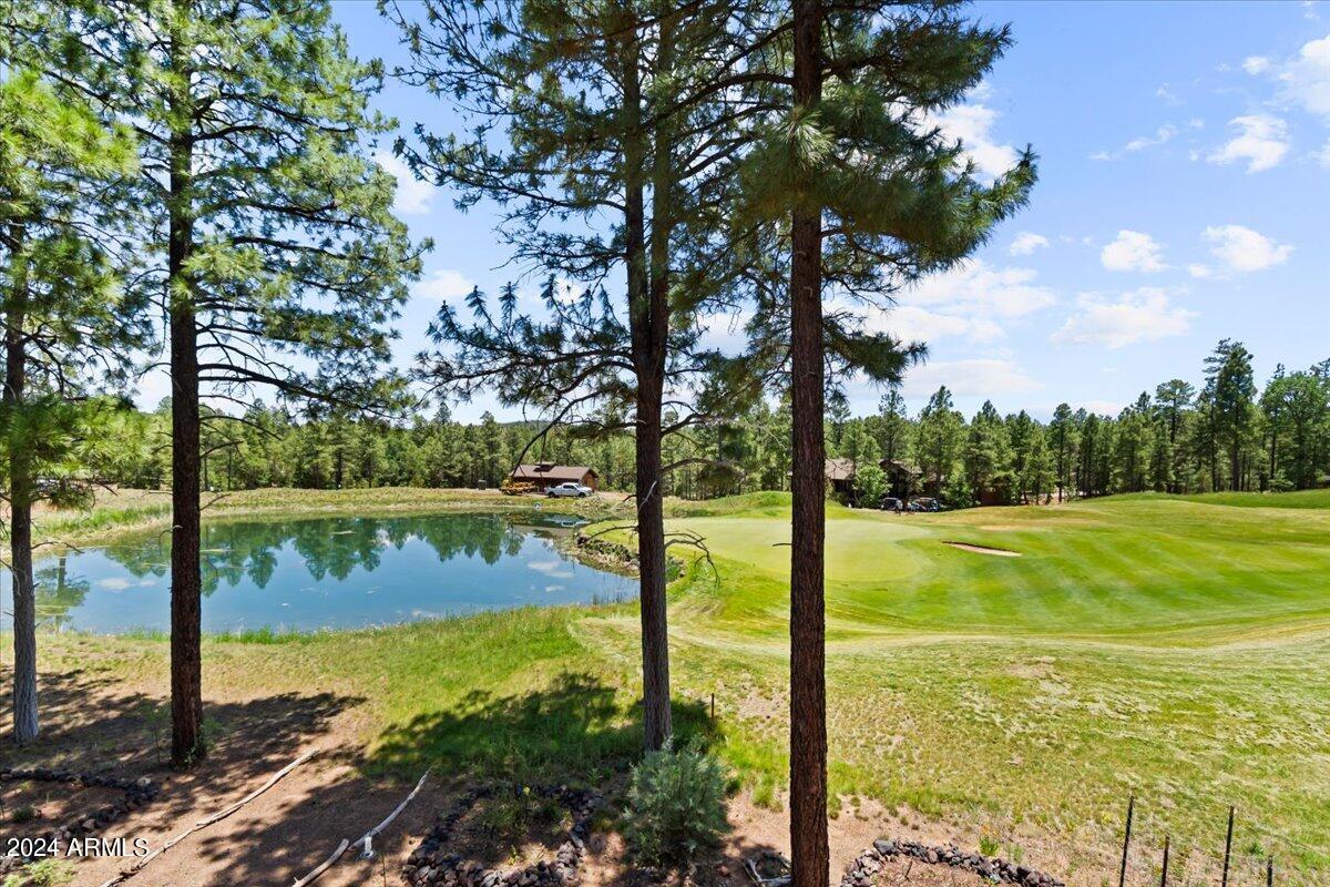 4051 West Falling Leaf Road Show Low, AZ 85901 - Photo 69 of 88