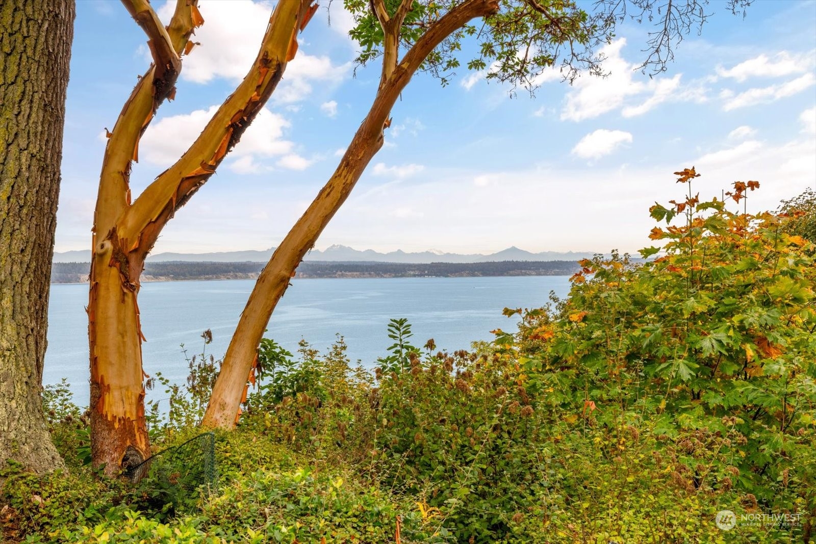 3283 Fox Spit Road Langley, WA 98260 - Photo 4 of 40