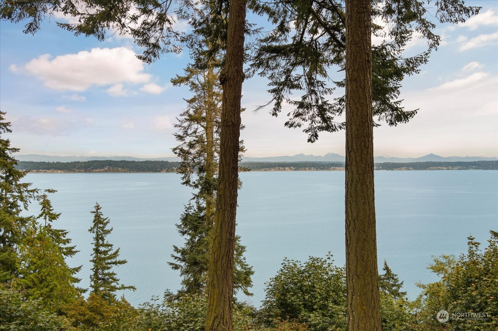 3283 Fox Spit Road Langley, WA 98260 - Photo 5 of 40