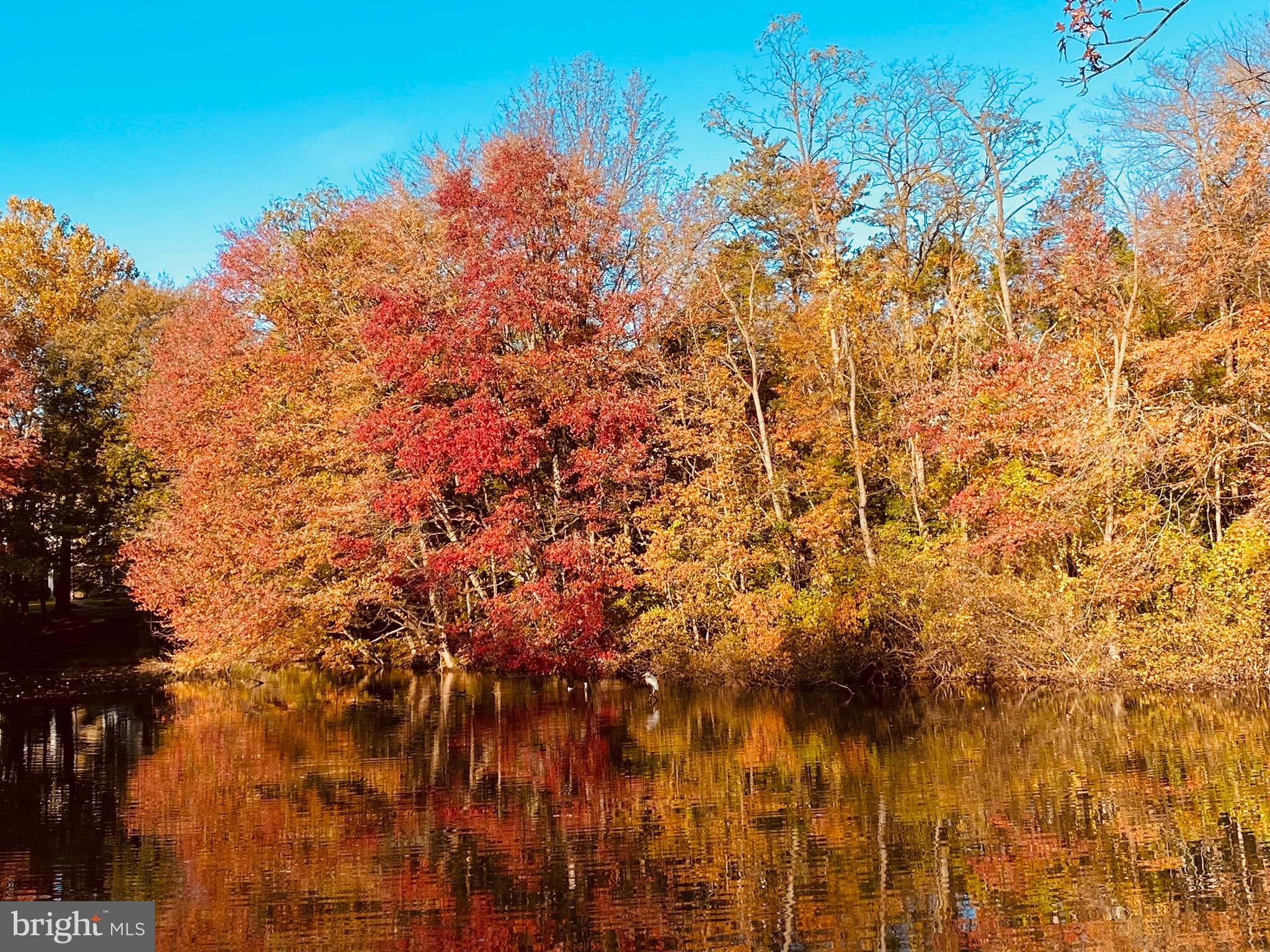 104 Bucksfield Road, Unit 104 Gaithersburg, MD 20878 - Photo 35 of 39