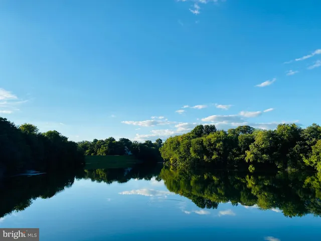 a front view of a house with yard and green space