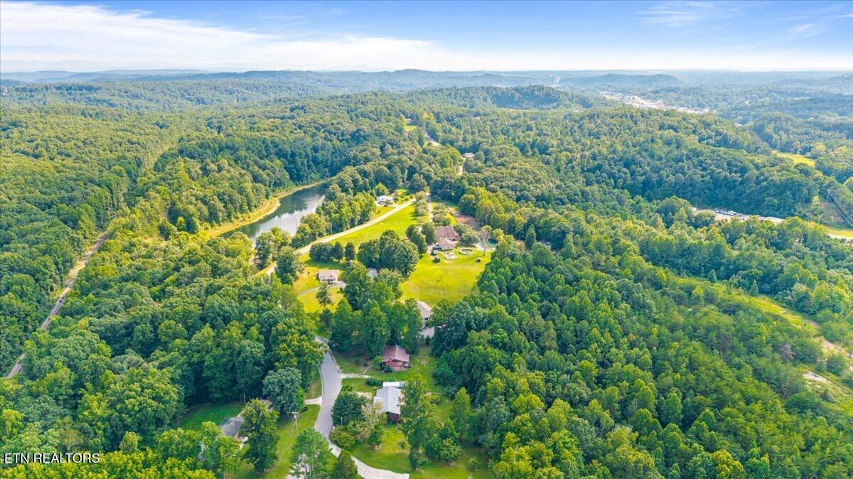 1173 Sand Cut Road Oneida, TN 37841 - Photo 8 of 44 08-1173 Sand Cut Rd