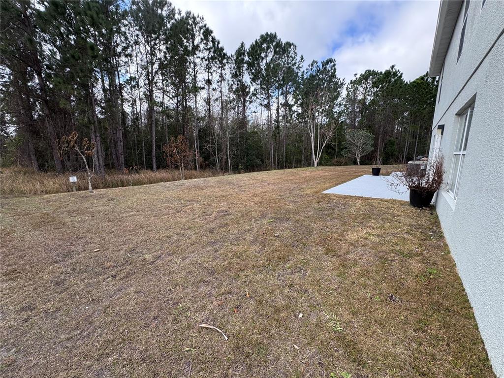 4064 Sunny Day Way Kissimmee, FL 34744 - Photo 8 of 63