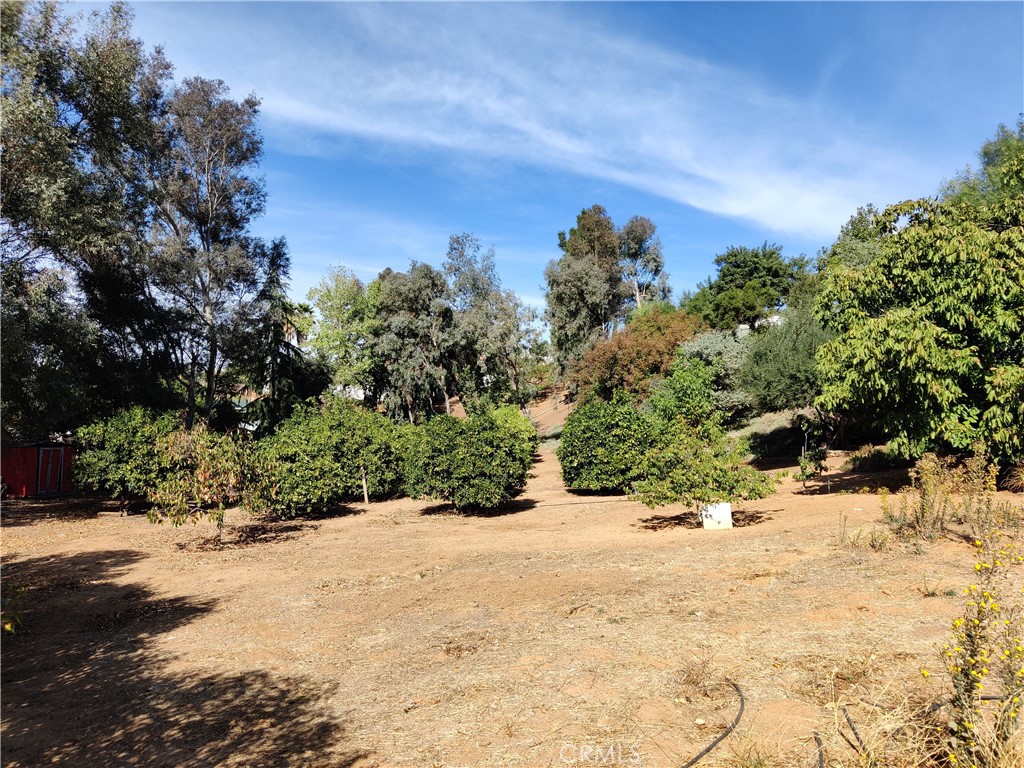 361 Canyon View Drive Calimesa, CA 92320 - Photo 34 of 43