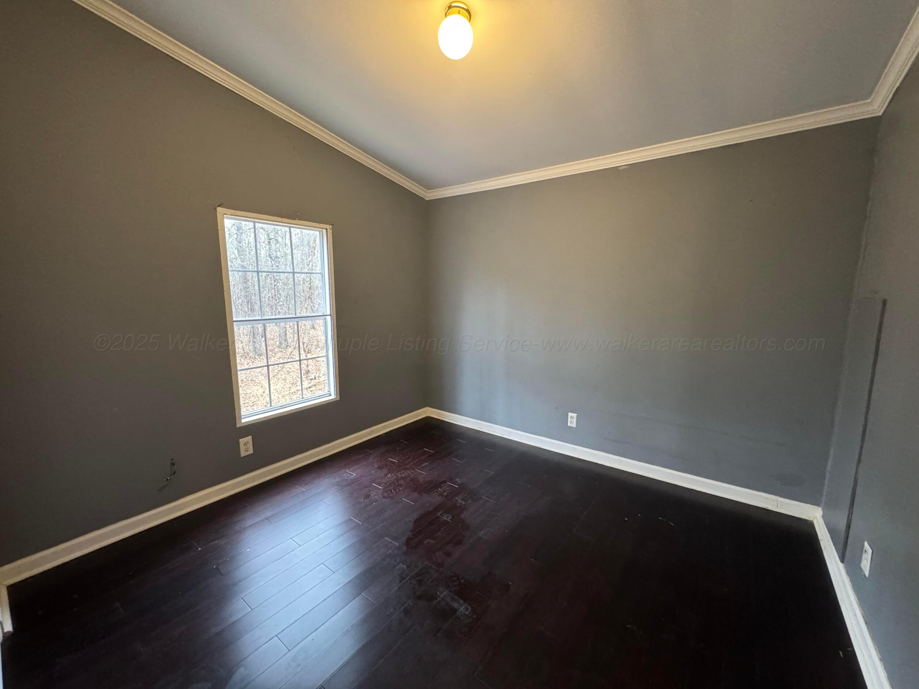 2145 Sunlight Road Jasper, AL 35504 - Photo 26 of 30 IMG_2747