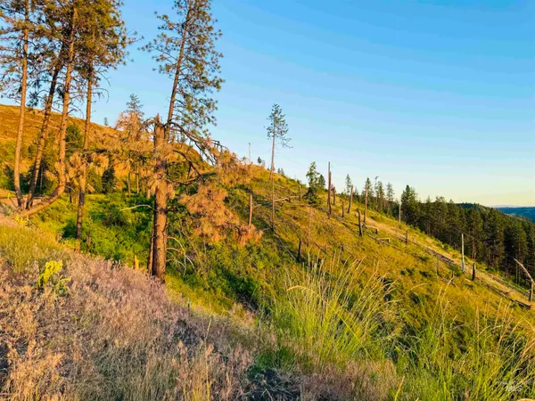 $529,000 | Tbd Lot #2 Beaverslide Road, Kamiah, ID 83536