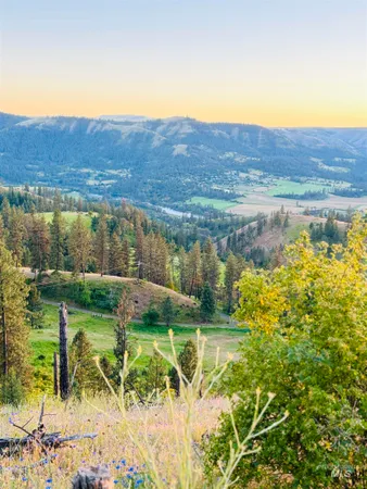 $529,000 | Tbd Lot #2 Beaverslide Road, Kamiah, ID 83536