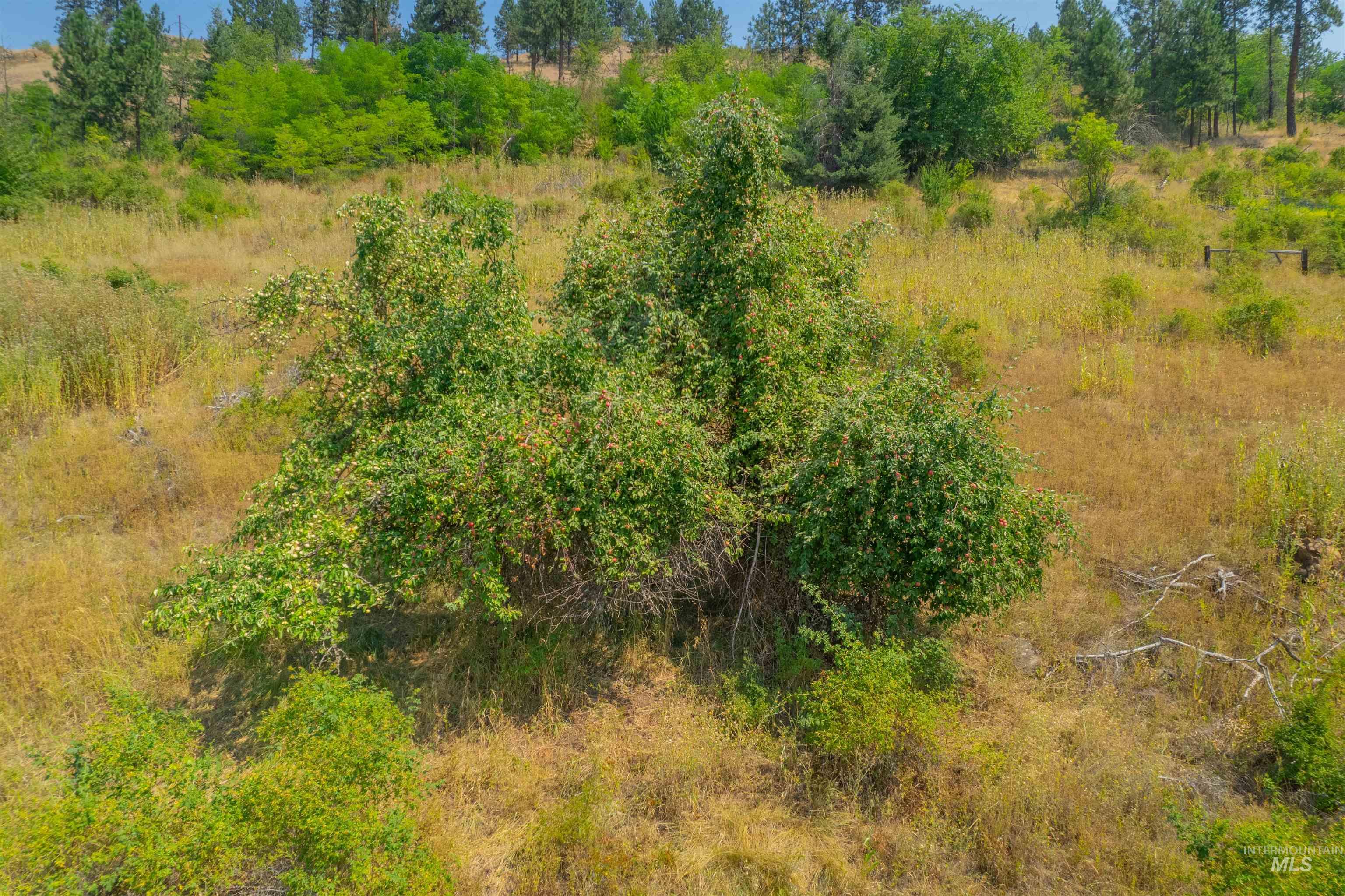 Tbd Lot #2 Beaverslide Road Kamiah, ID 83536 - Photo 25 of 27