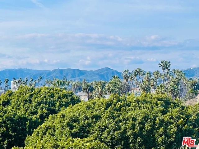 view of a bunch of trees and bushes