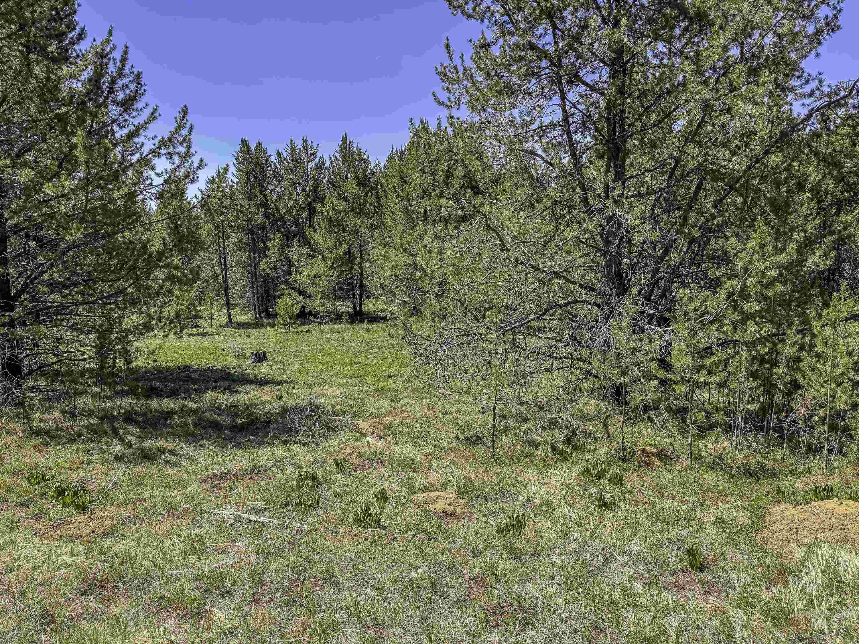 Tbd Deer Creek Road Winchester, ID 83555 - Photo 23 of 39