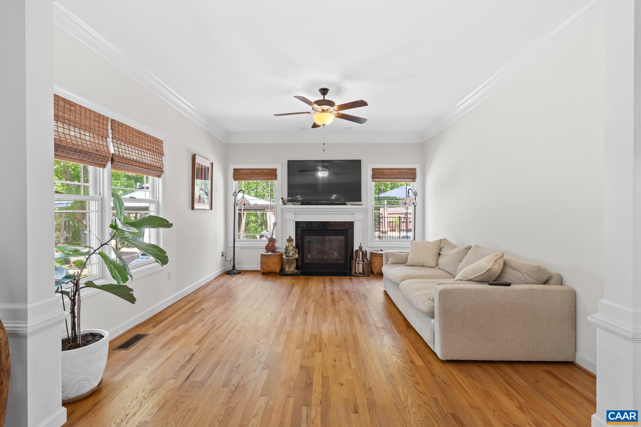 490 Two Rivers Drive Troy, VA 22974 - Photo 16 of 59 Gas Fireplace