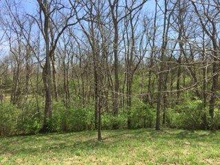 116 Bear Run Road Richmond, KY 40475 - Photo 4 of 18 Photo 4