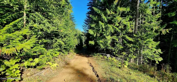 $47,500 | 0 Alder Way, St. Maries, ID 83861