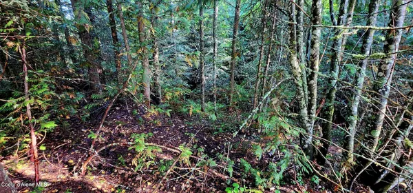 $47,500 | 0 Alder Way, St. Maries, ID 83861
