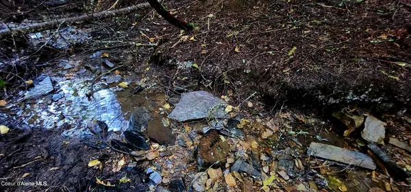 $47,500 | 0 Alder Way, St. Maries, ID 83861