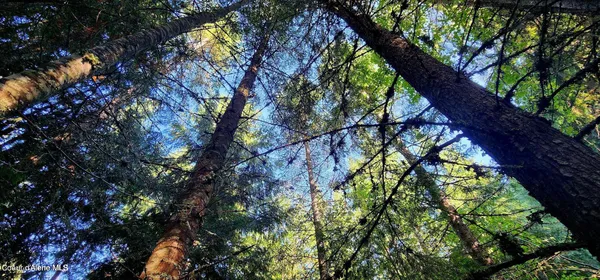 $47,500 | 0 Alder Way, St. Maries, ID 83861