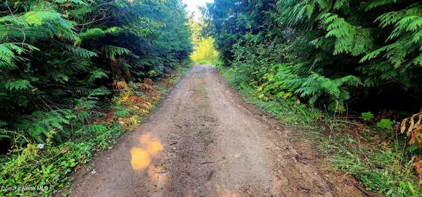 $47,500 | 0 Alder Way, St. Maries, ID 83861