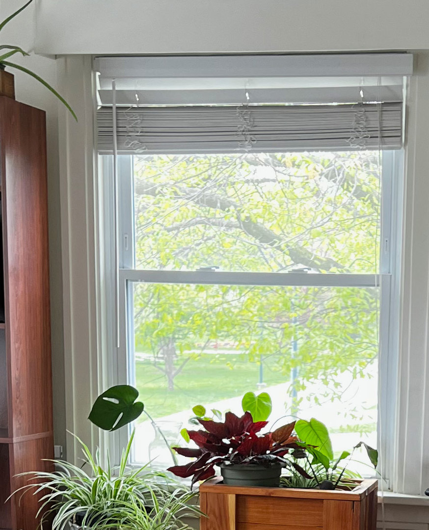 1108 West Daniel Street Champaign, IL 61821 - Photo 31 of 55 a vase of flowers sitting on a table with a window