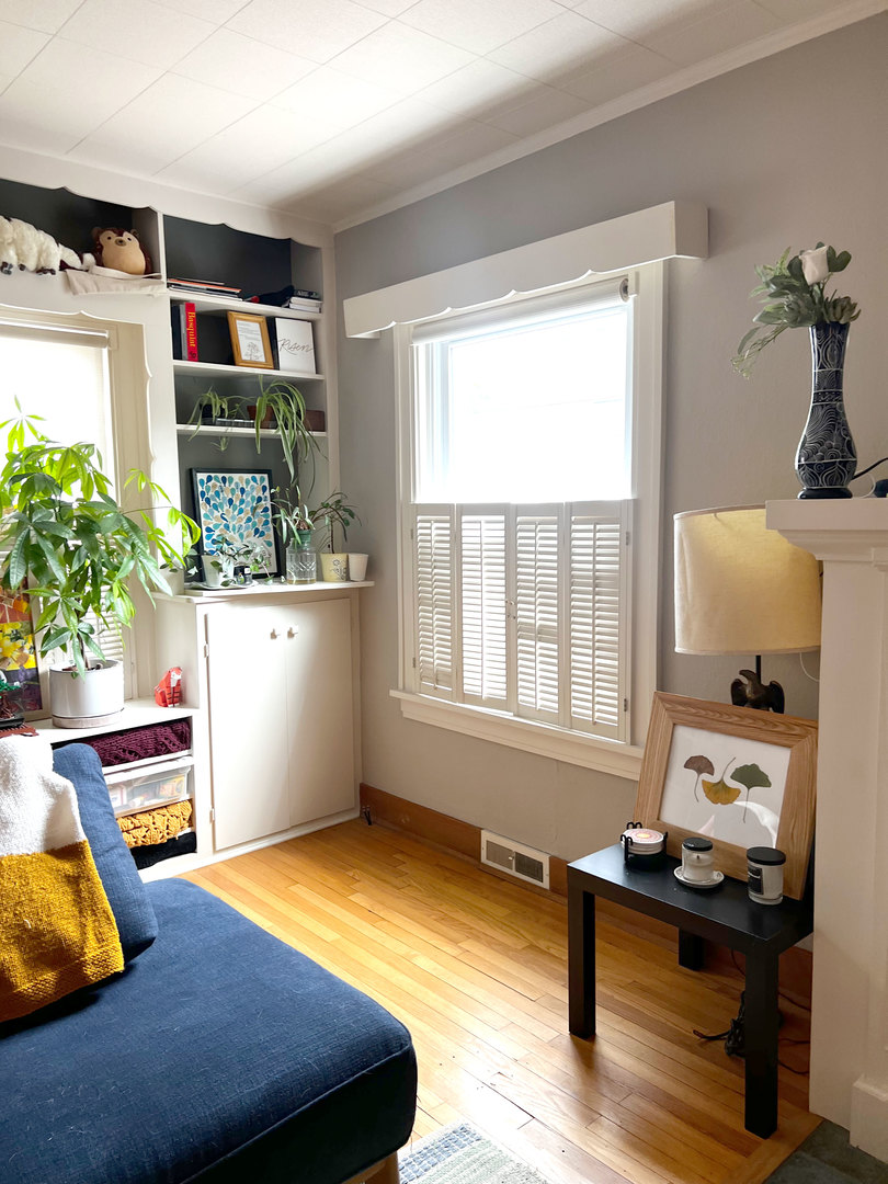 1108 West Daniel Street Champaign, IL 61821 - Photo 51 of 55 a room with furniture and a potted plant