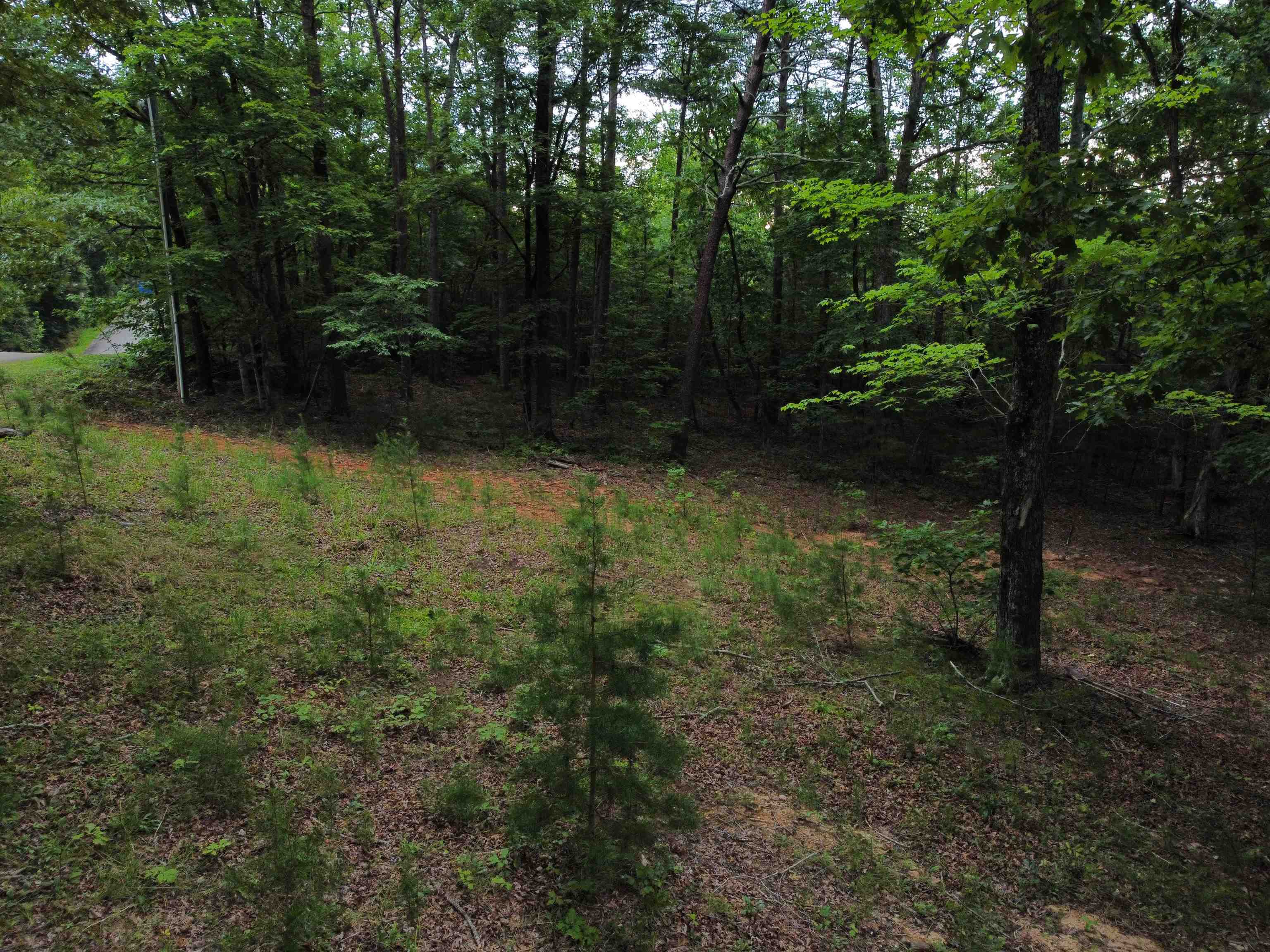 200 Goforth Road Landrum, SC 29356 - Photo 8 of 13 Gallery Image 8