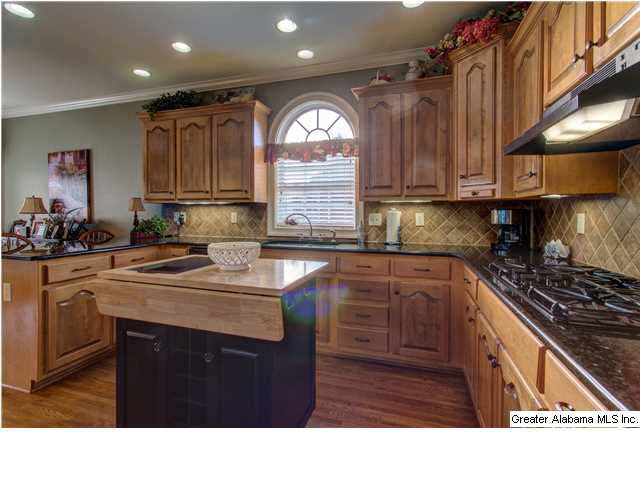 968 MacDonald Lk Road Springville, AL 35146 - Photo 6 of 23 Gallery Image 6