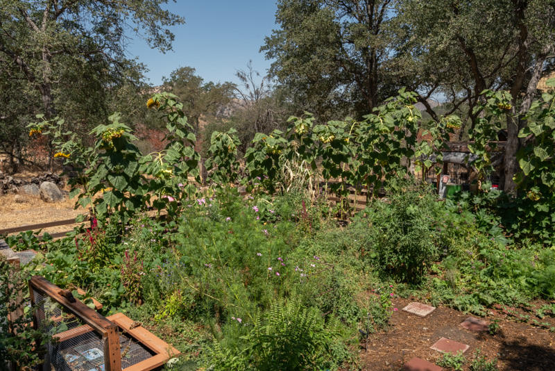 45244 South Fork Drive, Unit D Three Rivers, CA 93271 - Photo 74 of 91 45244D South Fork-83