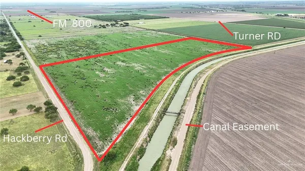 a view of a park with an ocean